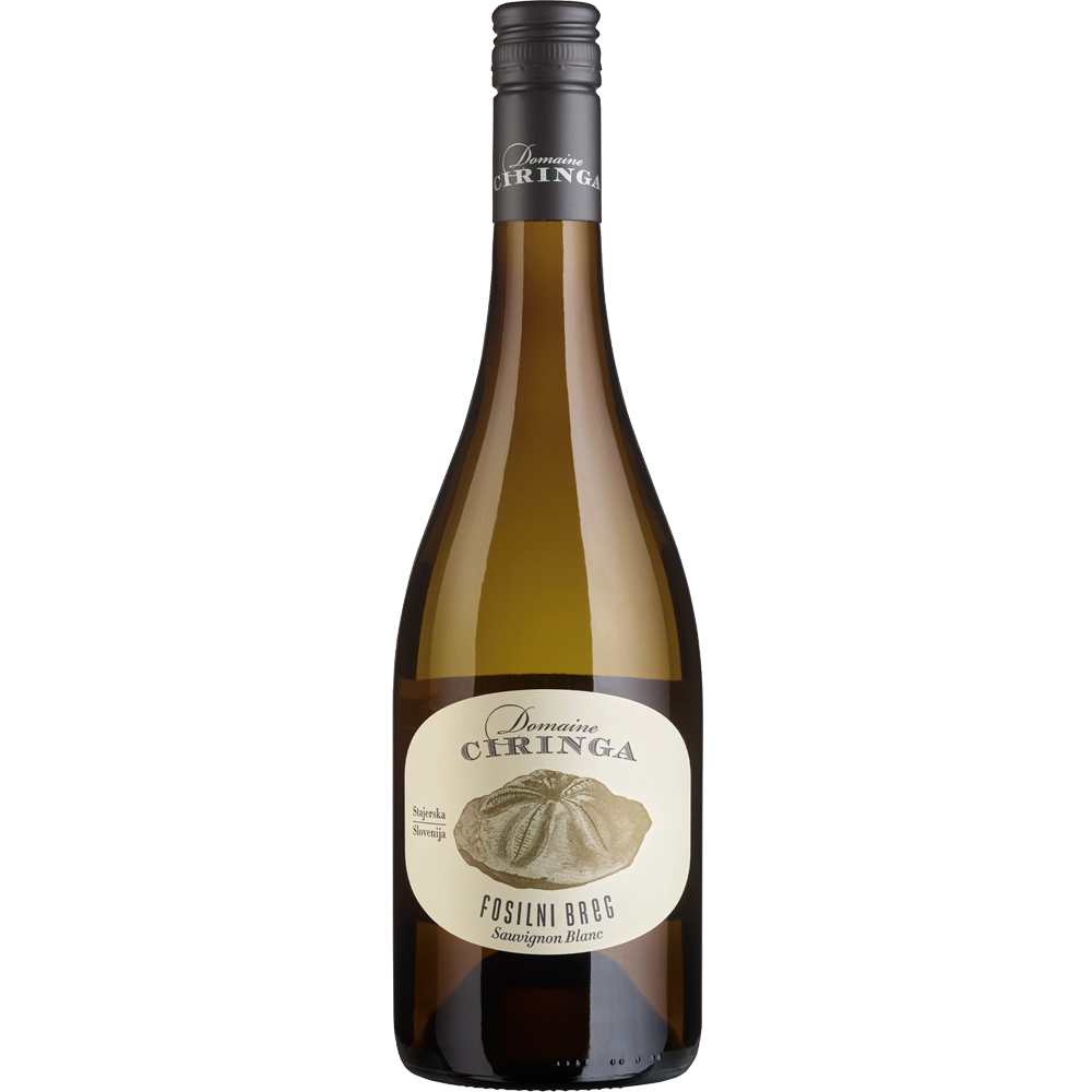 Fosilni Breg Sauvignon Blanc 2023